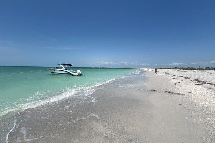 Private Delfinbeobachtung am Strand
