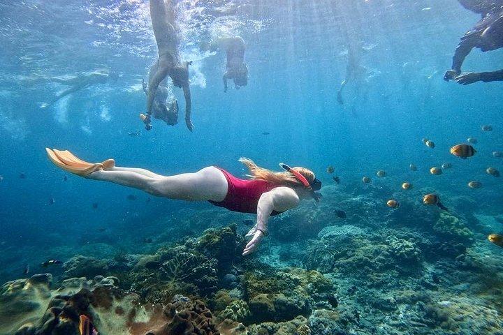 ブルーラグーンでのバリ島シュノーケリングと滝、ランチ＆送迎