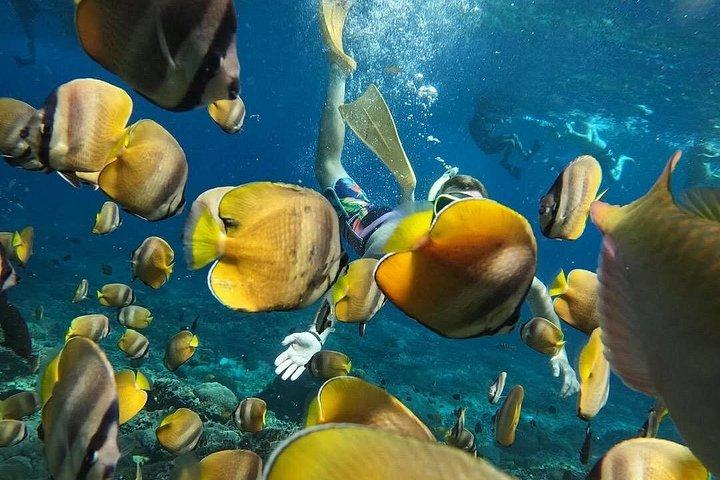 ブルーラグーンでのバリ島シュノーケリングと滝、ランチ＆送迎