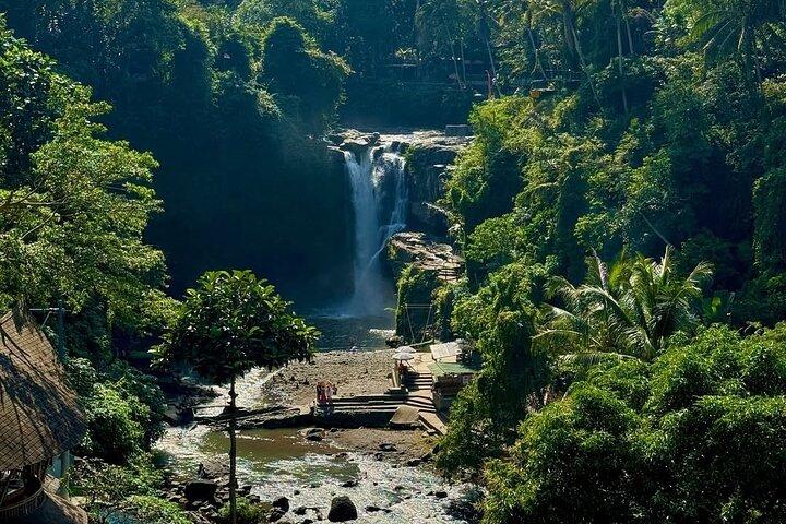 Ubud: Affenwald, Wassertempel, Reisterrasse, Wasserfall
