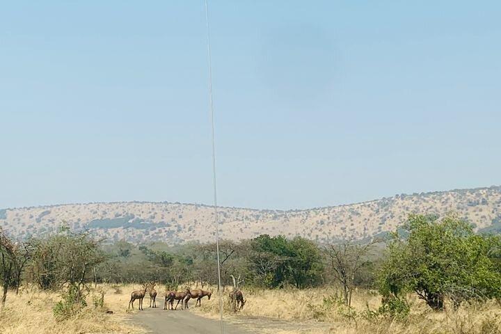 Akagera National Park Wildlife Experience