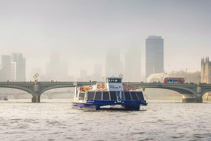 Thames Sightseeing Cruise com tempo flexível e porto de partida