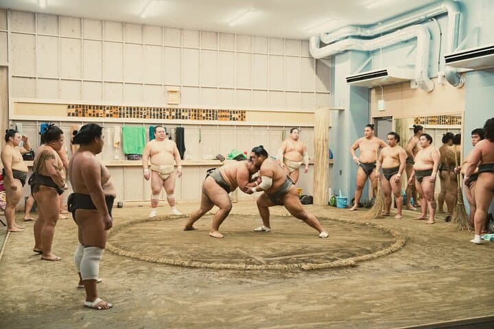 Tokyo Sumo Morning Training