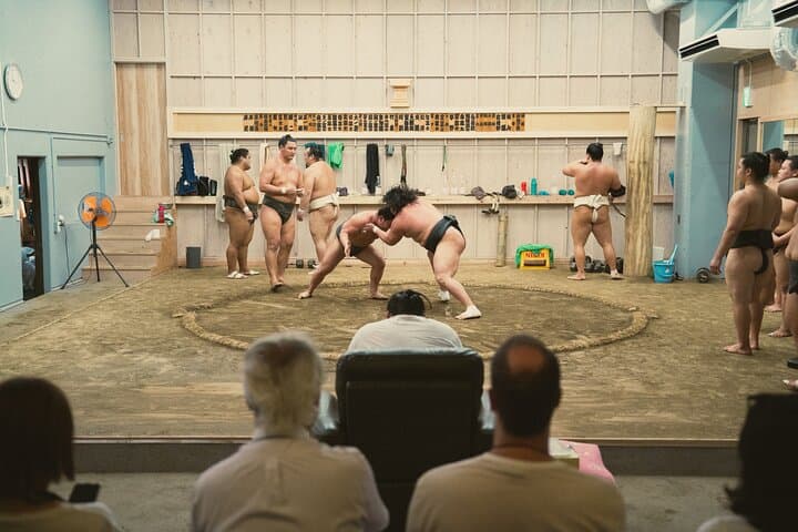 Tokyo Sumo Morning Training