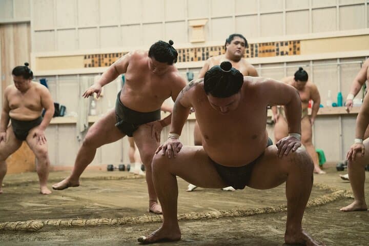Tokyo Sumo Morning Training