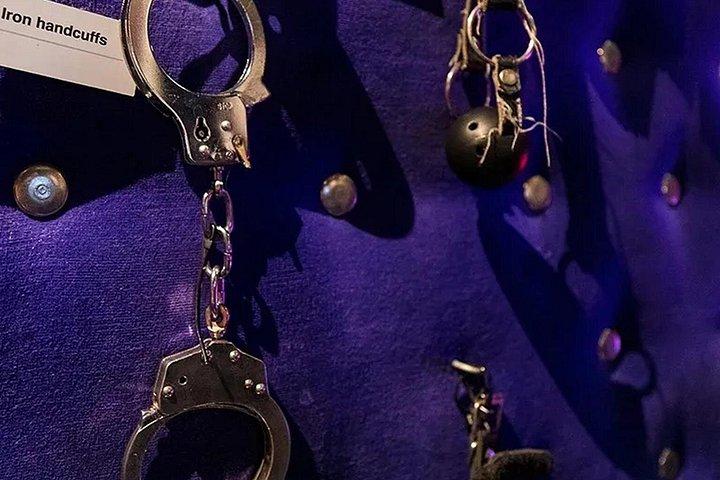 レッド ライト シークレット ミュージアム アムステルダム & 1 時間の運河クルーズ