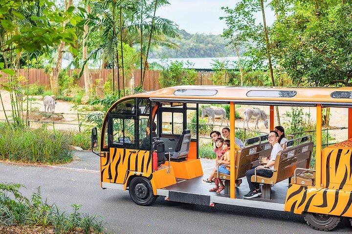 Singapore Zoo biljetter med spårvagnsresa