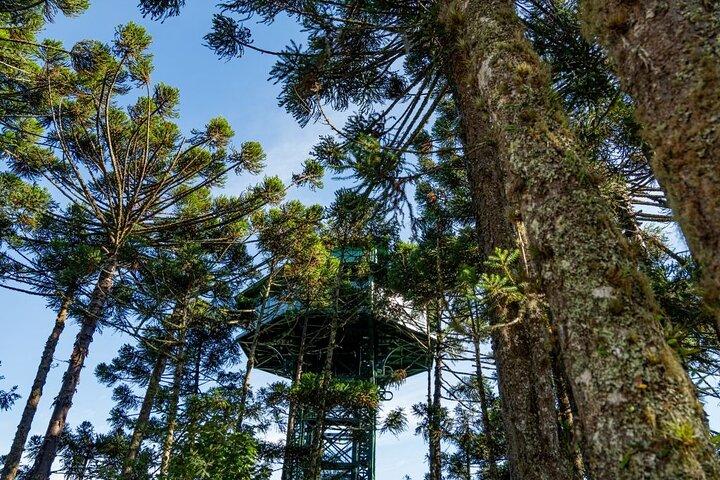 Bilhete Caracol Park