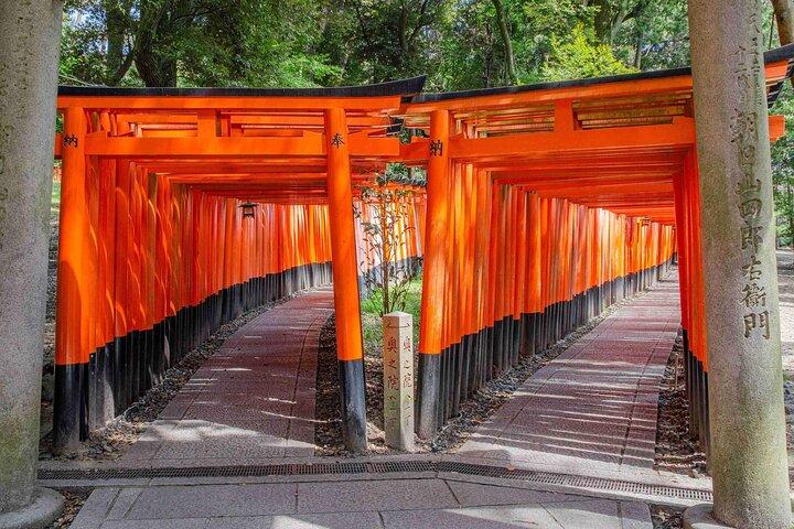 奈良鹿公園・伏見稲荷・嵐山竹林日帰りツアー