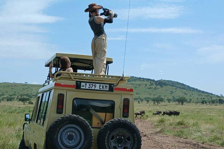 7 Días Tanzania Safari Aventura Serengeti y Ngorongoro