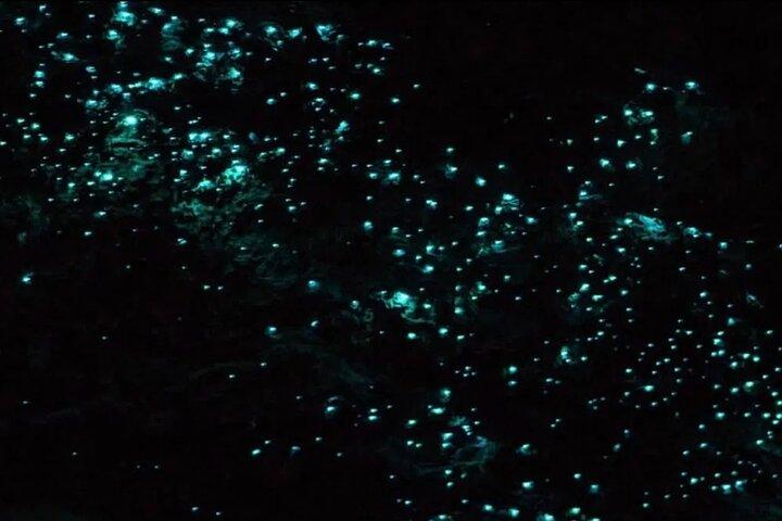 Bioluminescence Snorkel Boat Tour em Klein Bonaire