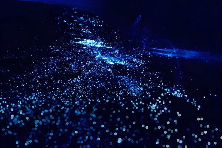 Bioluminescence Snorkel Boat Tour em Klein Bonaire