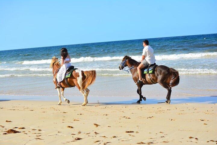 Ridning på Rancho Un Regalo De Dios! (Mulighed P)