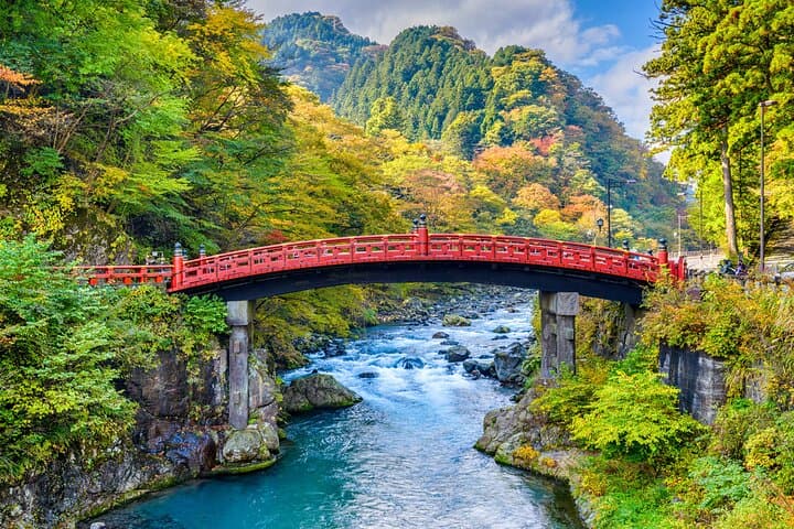 From Tokyo: Nikko Toshogu Shrine and Kegon Waterfall Tour