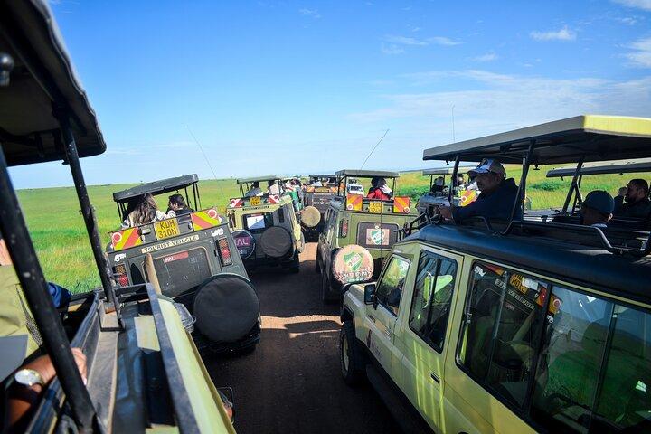 3 dage Masai Mara privat midt i luksus safari
