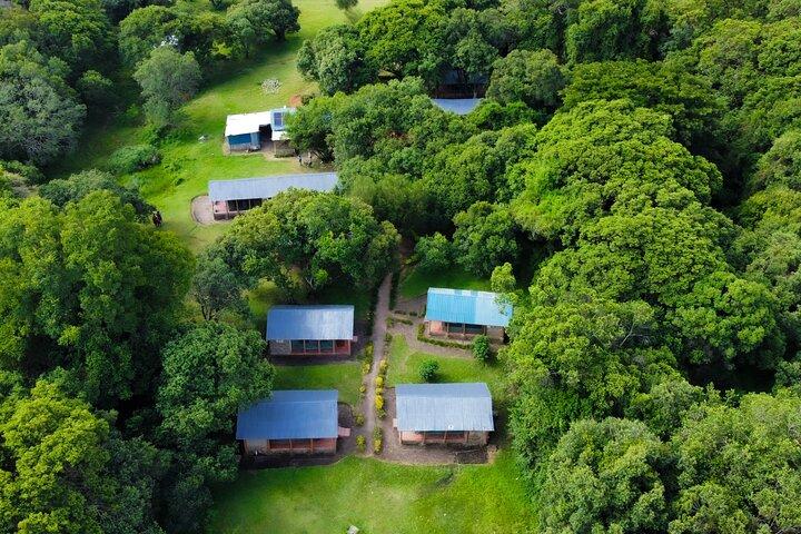 3 dage Masai Mara privat midt i luksus safari