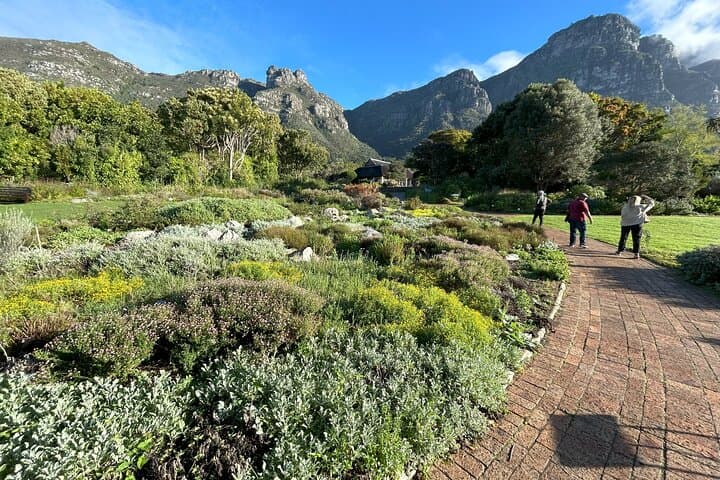 Half Day Table Mountain & Kirstenbosch Gardens