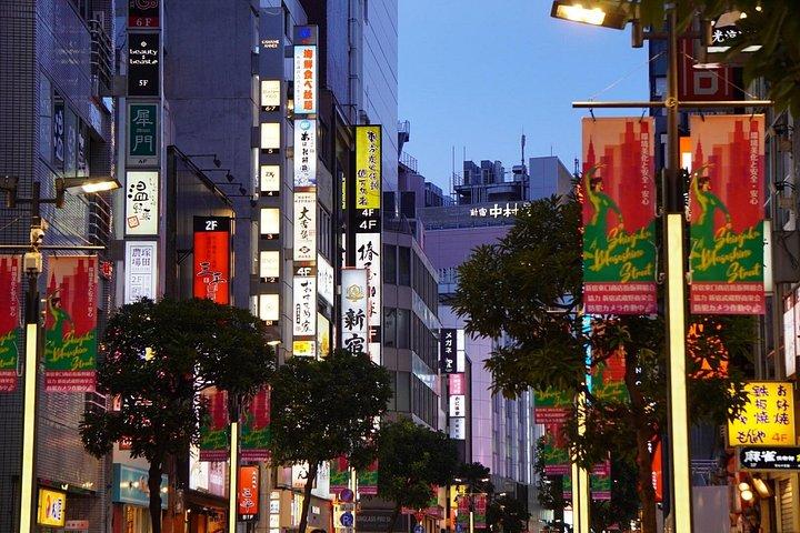 プライベート8時間ウォーキングツアー東京撮影