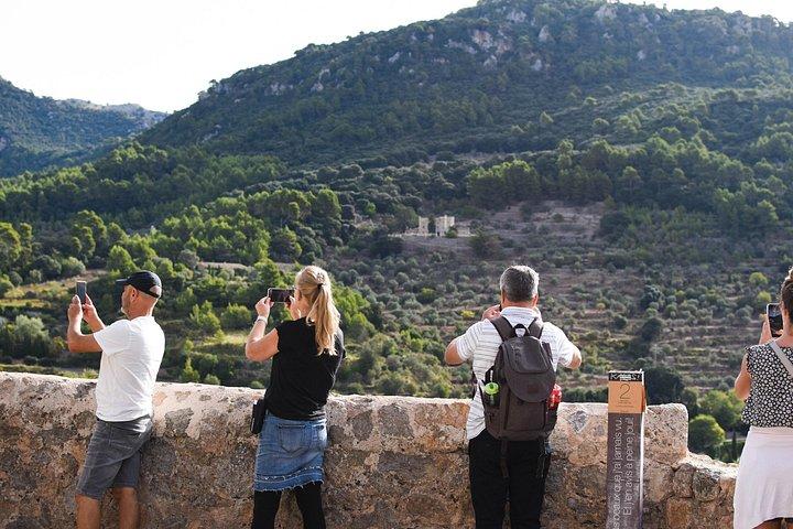 Excursão privada a Valldemossa e Deia