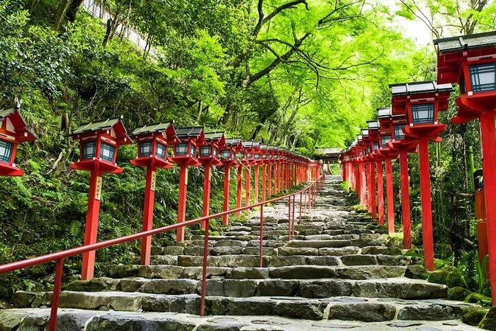 京都日帰りツアー貴船神社、三千院、嵐山＆友禅光琳