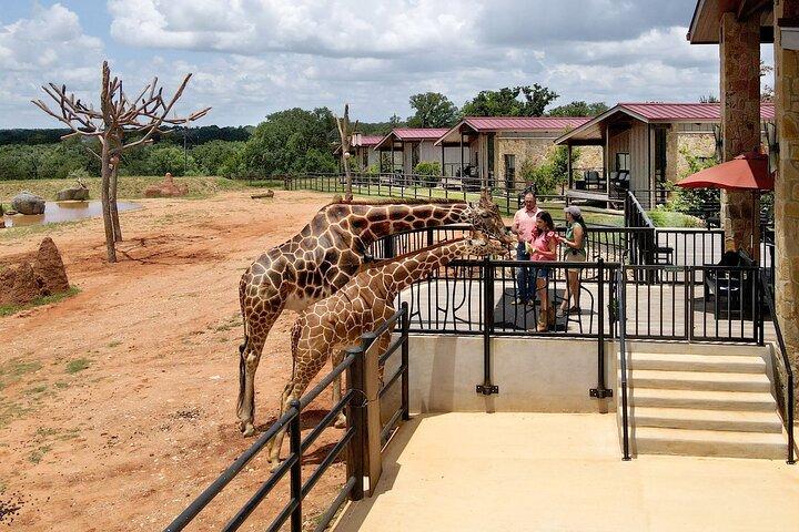 Encuentros con animales