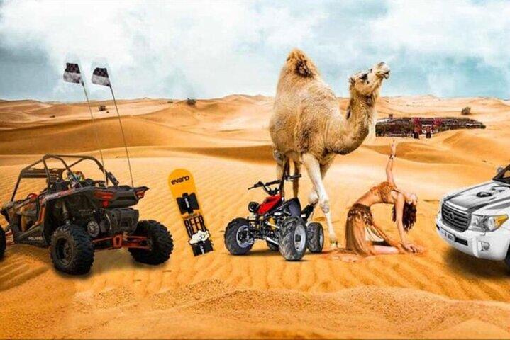 Qatar: Safari Premium do Deserto com Camelo e Bashing de Dunas