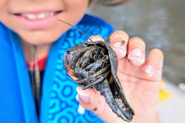 タルボット諸島州立公園のアメリア塩沼パドル