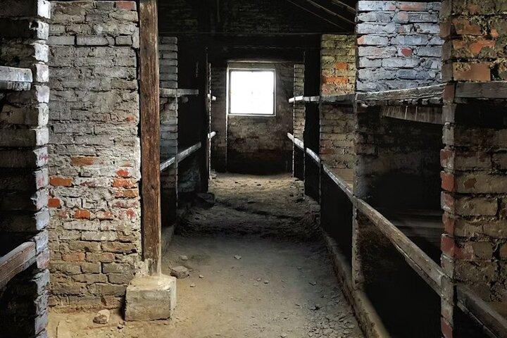 Visita guiada privada a Auschwitz Birkenau de Viena