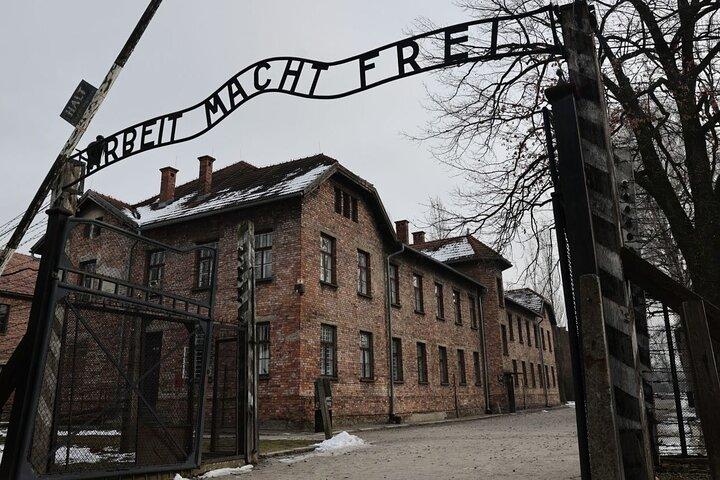 Tour guidato privato ad Auschwitz Birkenau da Vienna