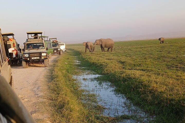 Zweitägige Amboseli-Tour