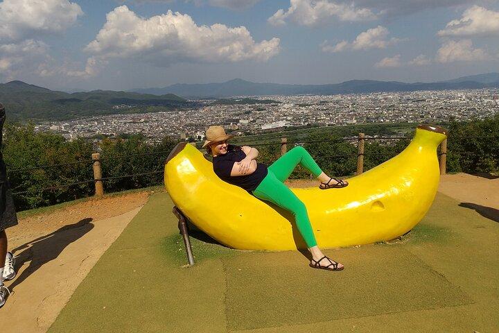 京都：嵐山天龍寺、竹林、猿めぐり