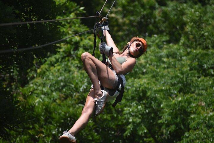 Roatan Zipline & Eco walk/Suspension Bridge Combo Tours