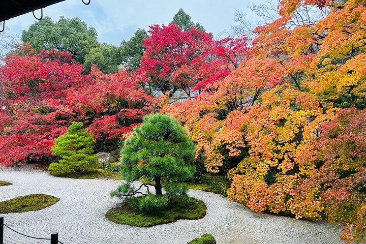 京都紅葉マイカーツアー寺院と庭園