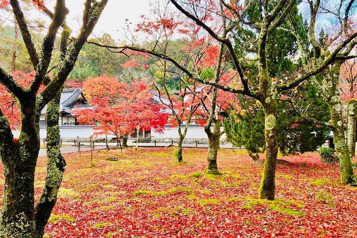 京都紅葉マイカーツアー寺院と庭園