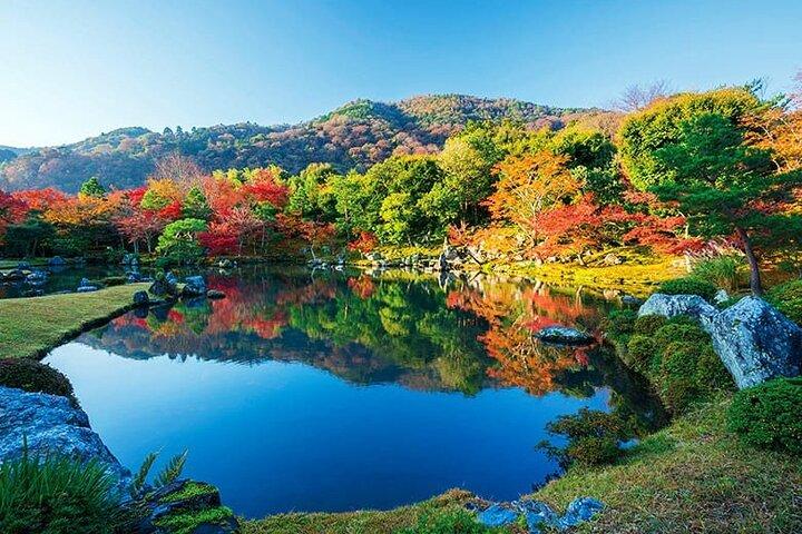 京都紅葉マイカーツアー寺院と庭園