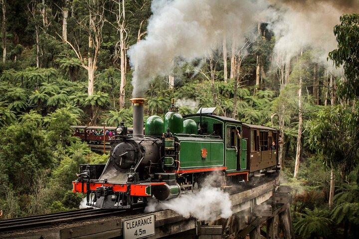 Excursión de un día al tren Billy y el desfile de pingüinos de Melbourne