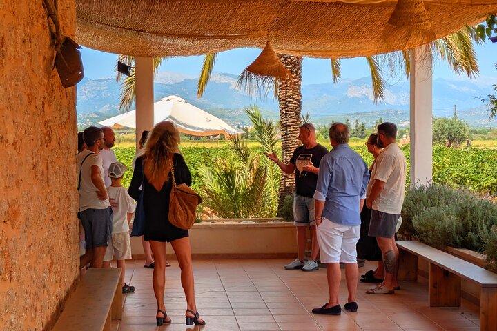 Tour del vino di Maiorca Degustazione di vini locali a Santa Maria