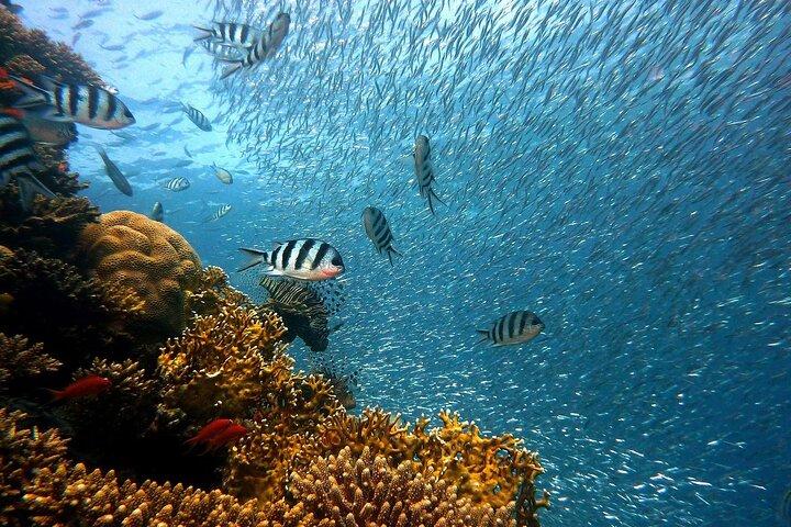 Sharm El Sheikh Jeep Safari to Blue Hole & Dahab Canyon Aventura