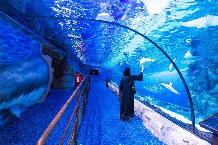 ドバイ水族館と水中動物園のチケット（フルアクセスオプション付き）