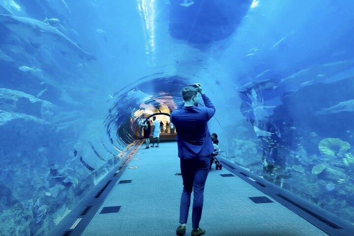 ドバイ水族館と水中動物園のチケット（フルアクセスオプション付き）