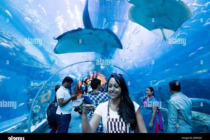 ドバイ水族館と水中動物園のチケット（フルアクセスオプション付き）