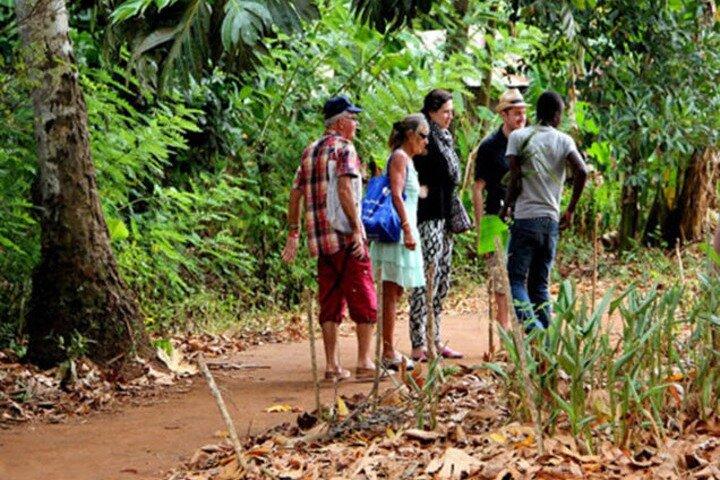 Zanzibar Spice Farm e Stone Town Tour
