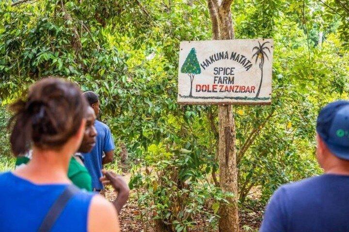 Zanzibar Spice Farm e Stone Town Tour