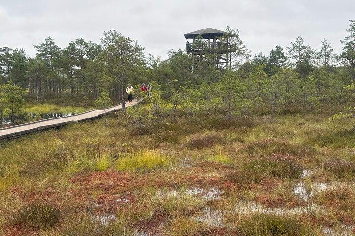 Lahemaa-Nationalpark bei einer Tagestour