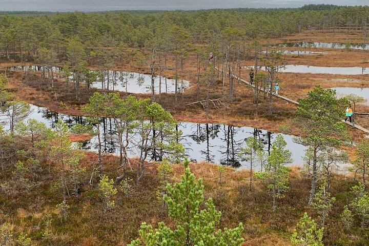Lahemaa-Nationalpark bei einer Tagestour