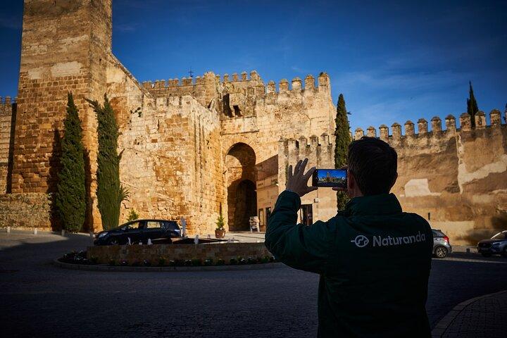 Carmona og Necropolis: Guided Day Tour fra Sevilla