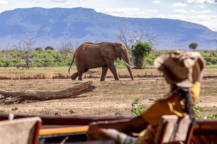 Explore Amboseli and Tsavo Private 5-Day Adventure
