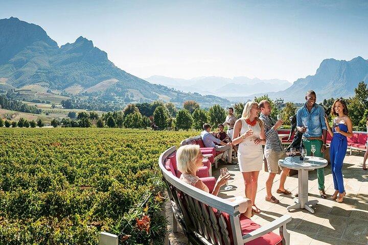 Stellenbosch Wine Tour demi-journée au départ du Cap