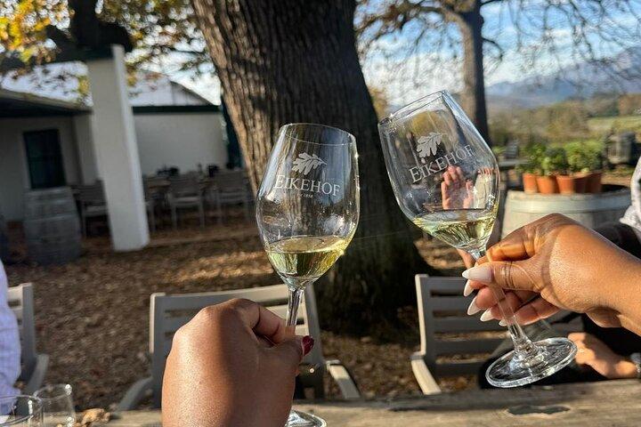Stellenbosch Wine Tour demi-journée au départ du Cap