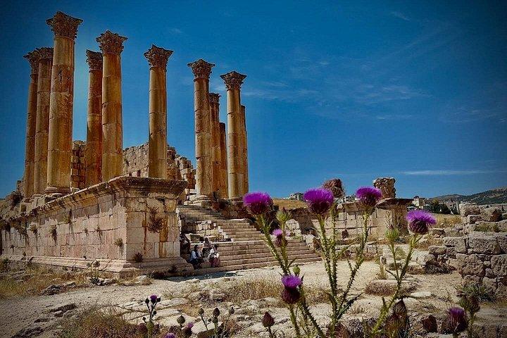 One Day Trip to Jerash & Ajloun Castle
